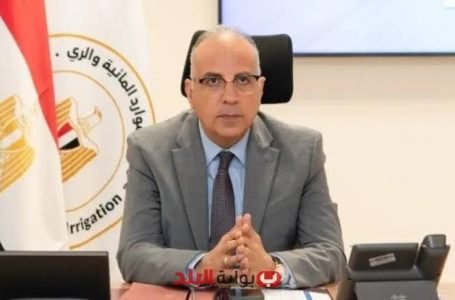 وزير الري المصري يعلن تمويل مشروعات بـ 100 مليون دولار بدول «حوض النيل الجنوبي»