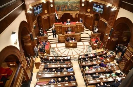 مع بدء الدعاية الانتخابية.. الأحزاب ترفع وتيرة تحركاتها استعدادًا لـ «الشيوخ» 2025