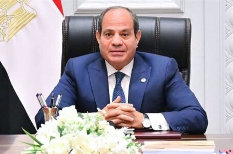مصر تصوّت لـ«عدالة دولية» في قمة «بريكس» الاستثنائية