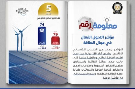 مصر تتقدم للمركز 74 عالميًا في مؤشر التحول الطاقي 2025