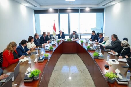 المالية تدفع بصادرات الدواء المصرية نحو الأسواق العالمية