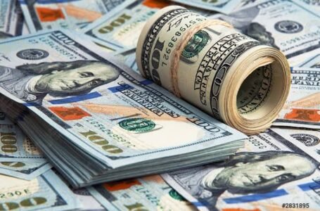 الأخضر يواصل استقراره.. سعر الدولار أمام الجنيه الإثنين 18 أغسطس 2025