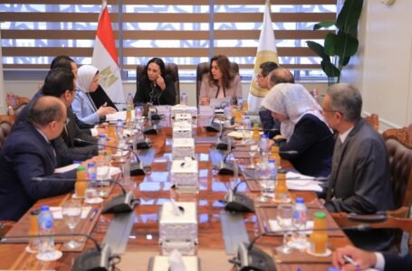 تنسيق حكومي لفتح مقرات جديدة لـالهلال الأحمر المصري في شمال سيناء والإسماعيلية والسويس وبورسعيد