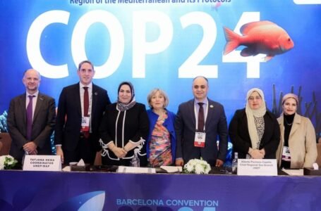 مصر تتصدر البحر المتوسط: رئاسة القاهرة للمكتب التنفيذي اتفاقية برشلونة COP24 لعامين