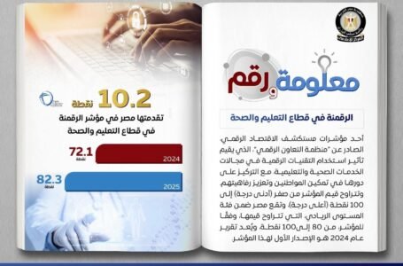 مصر تتصدر مشهد التحول الرقمي في التعليم والصحة وتبلغ فئة الريادة دوليًا