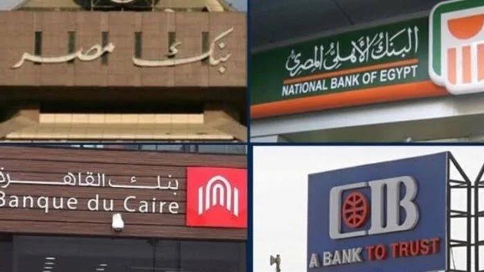 البنوك المصرية
